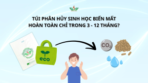 Túi phan hủy sinh học biến mất hoàn toàn chỉ trong 3-12 tháng?
