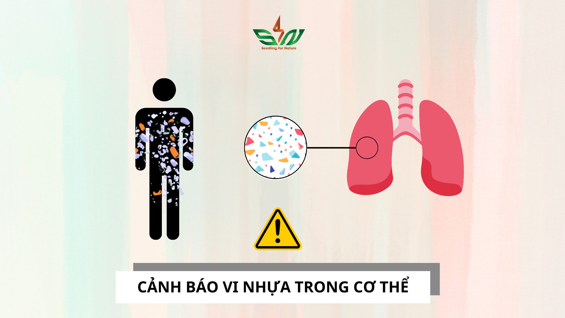 Cánh báo phát hiện vi nhựa trong cơ thể