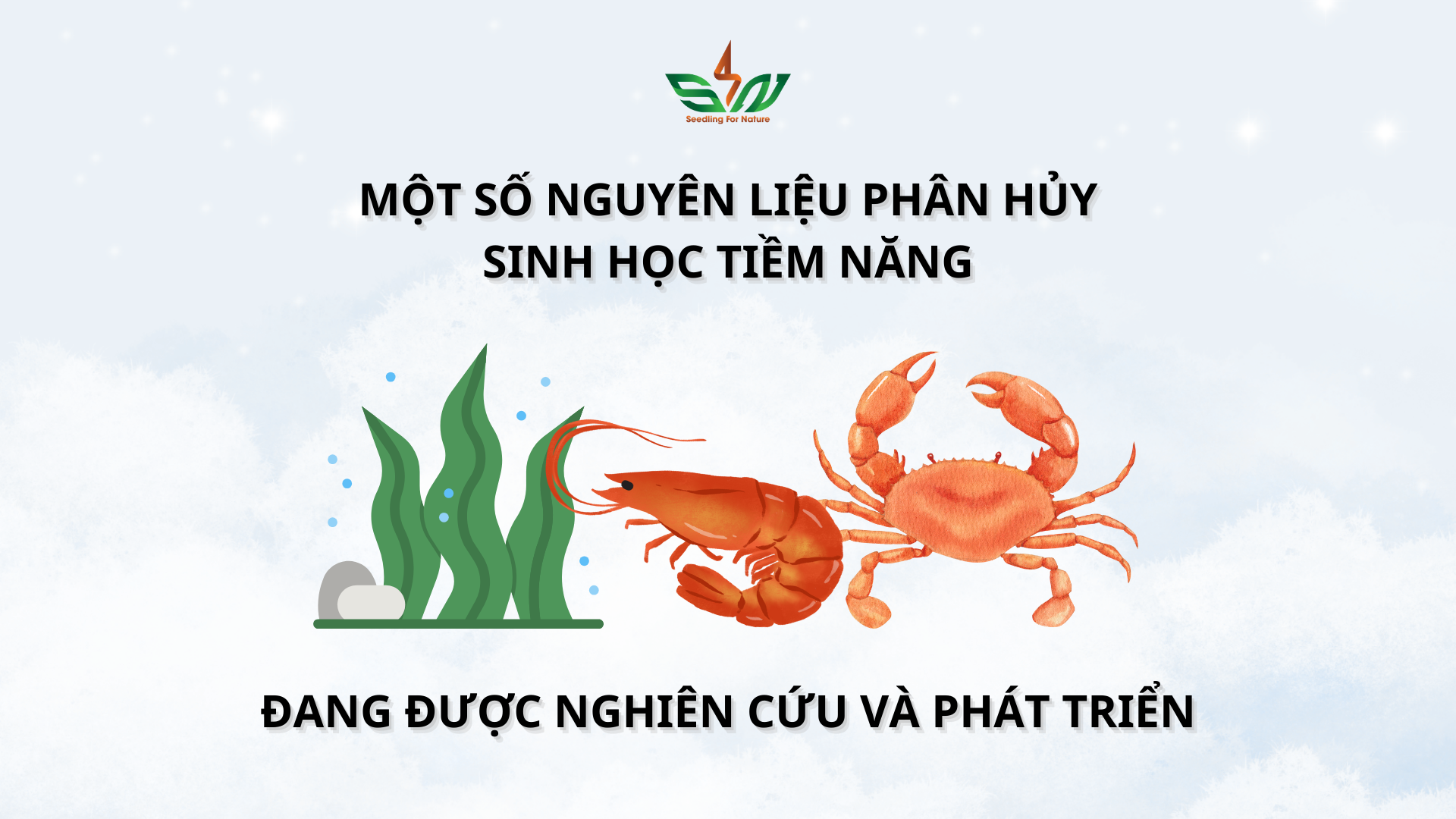 Một số nguyên liệu tiềm năng khác