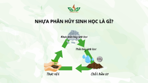 Nhựa phân hủy sinh học là gì?