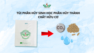 Túi phân hủy sinh học là gì
