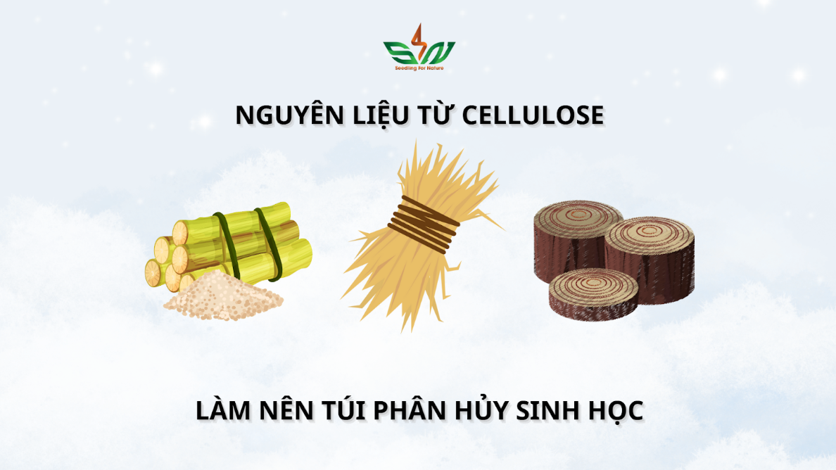 Nguyên liệu từ cellulose