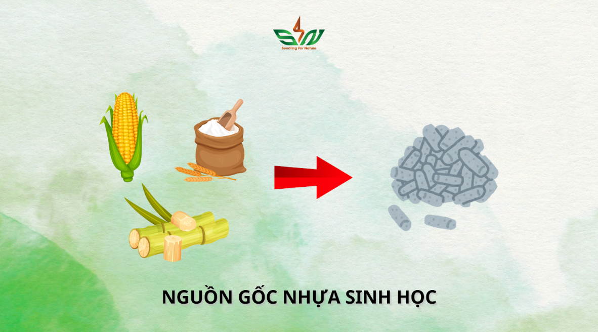 Nguồn gốc nhựa sinh học