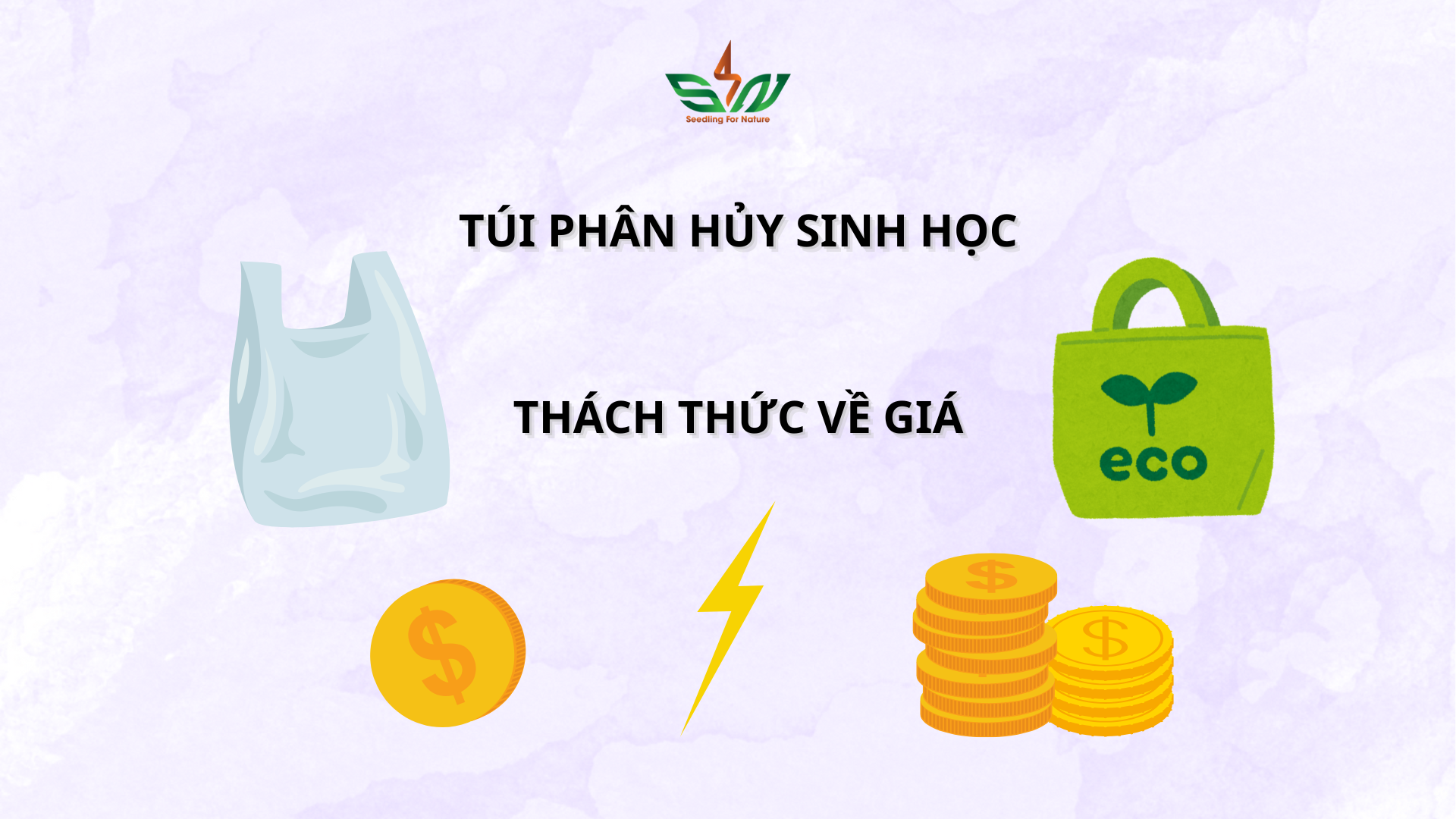 Thách thức về giá cả đối với túi phân hủy sinh học